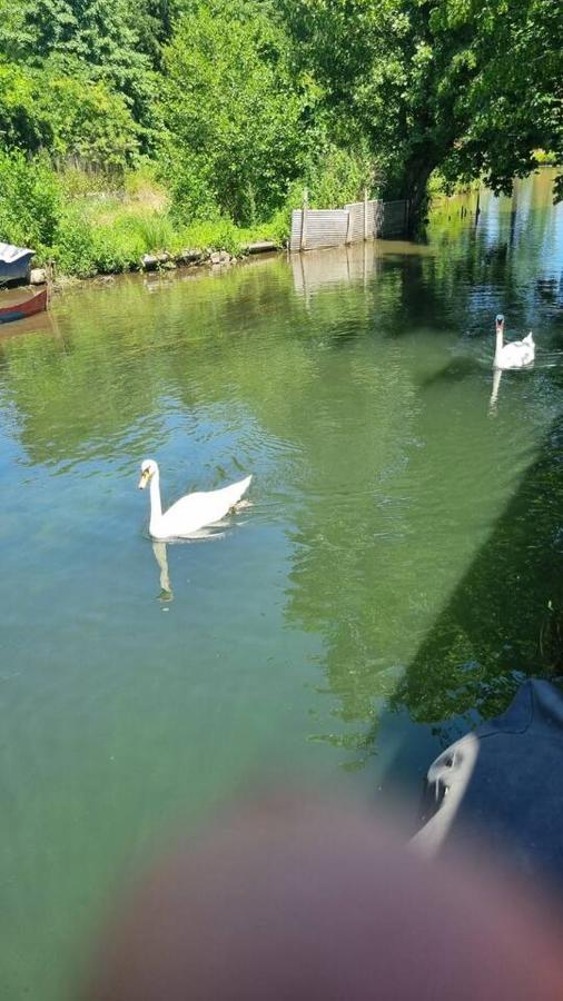 Au Fils De L'Eau Hotel Strasbourg Ngoại thất bức ảnh