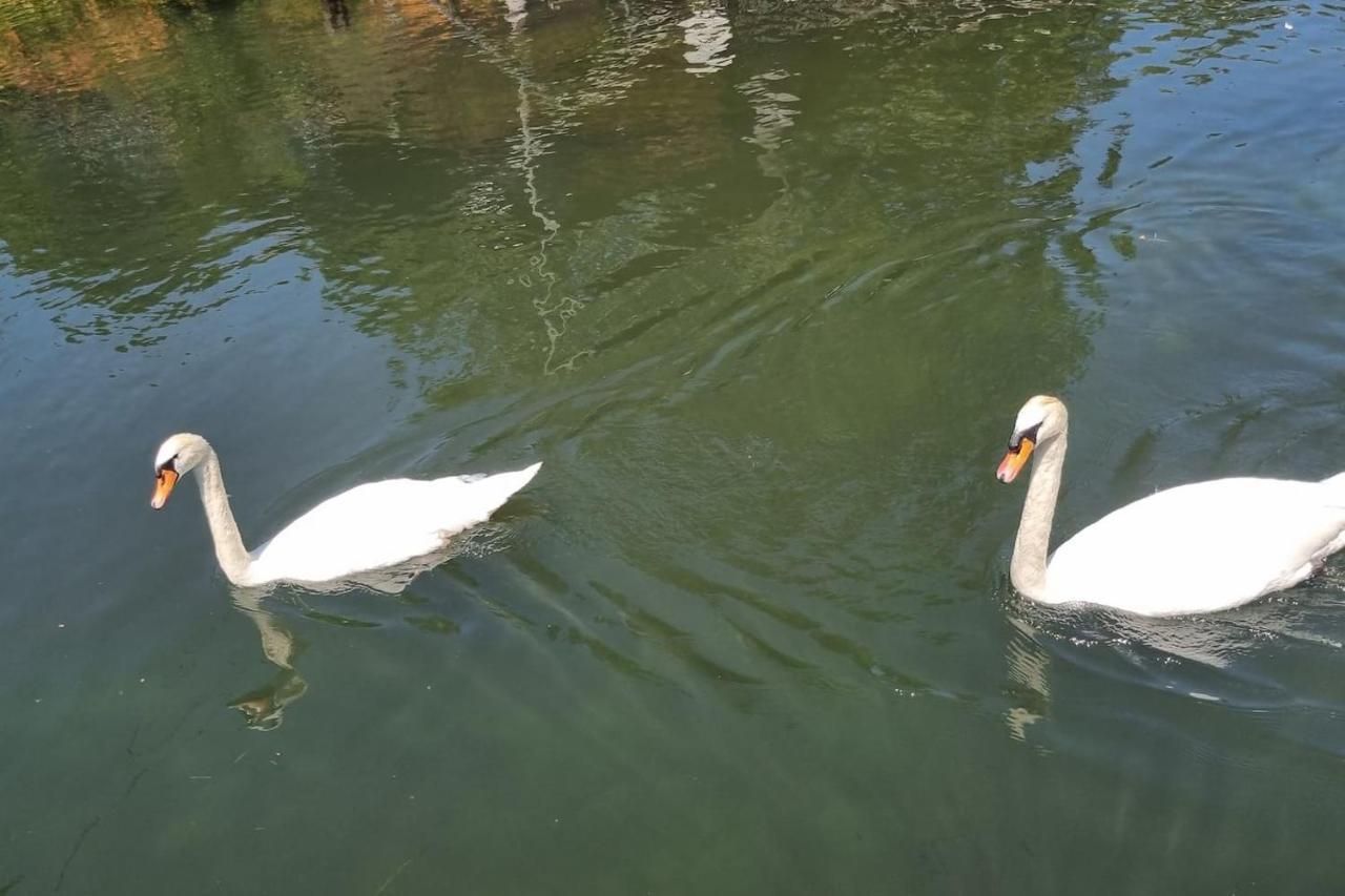 Au Fils De L'Eau Hotel Strasbourg Ngoại thất bức ảnh